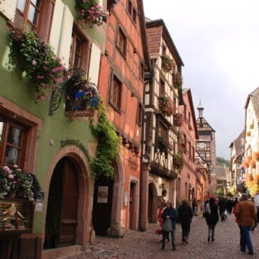 Homenagem à França marca lançamento da live semanal da DS/Rio