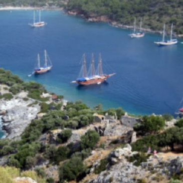 Quintas Intenções retorna em janeiro com lives interativas e participação em tempo real