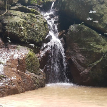 Passeio na Floresta da Tijuca celebra retorno das atividades socioculturais no Rio