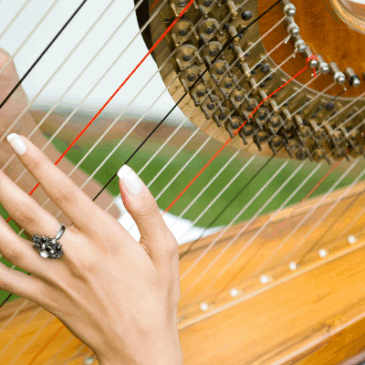 DS/Rio convida para um “Encontro” com a boa música do Festival de Harpas no CCBB (16/7)